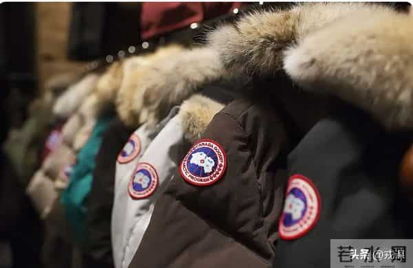 300元买不到真绒？羽绒服分层大战：贵价拼牌面，平价拼性价比！