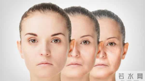 狂赚105亿!微生态护肤杀疯,血液细菌成抗老顶流,大牌跟风布局