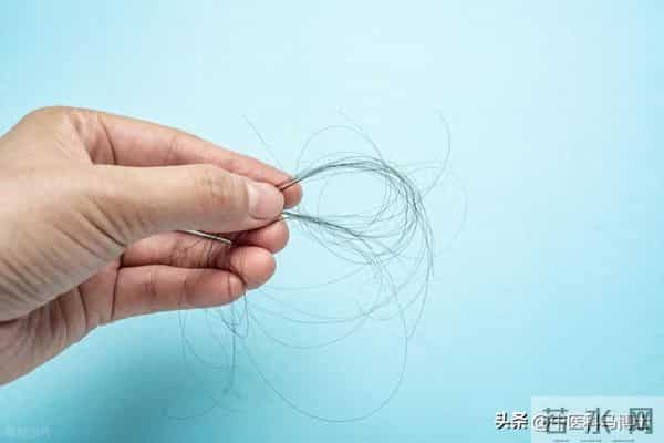 冬季头皮养护正当时 科学应对脂溢性脱发关键期