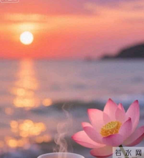 拼命护肤、整容、买贵妇霜，聪明的你，却忘了最顶级的美容是修心