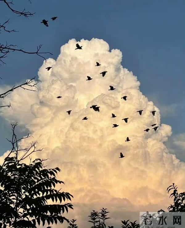 “不拧巴 能自洽 生活随心 才会更快乐”