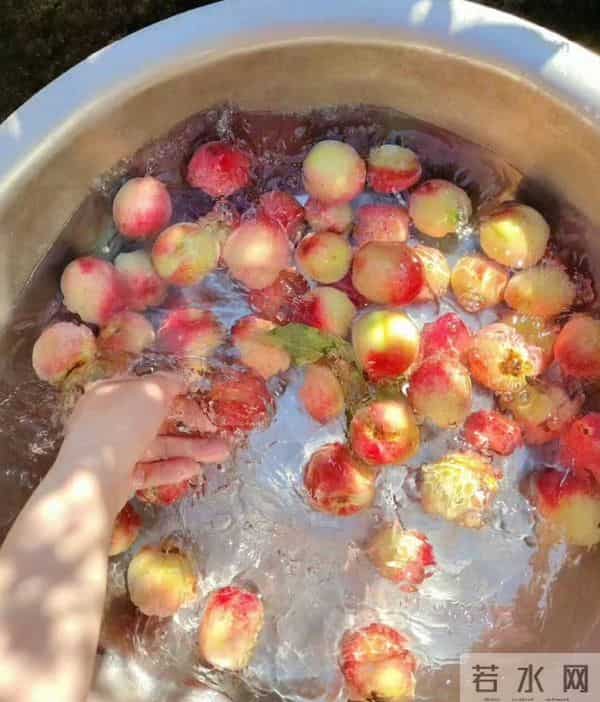 “不拧巴 能自洽 生活随心 才会更快乐”