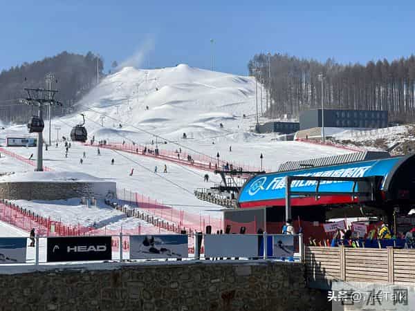 始祖鸟增速三连缓！靠亮色女款破圈，专业基因会稀释吗？