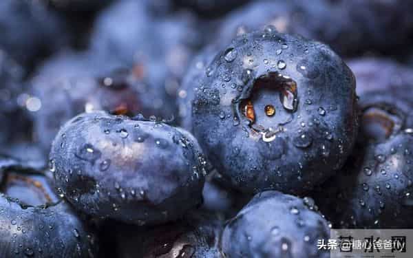 皮肤暗黄、干燥还长痘？8 种对女性皮肤好的食物清单列表收好