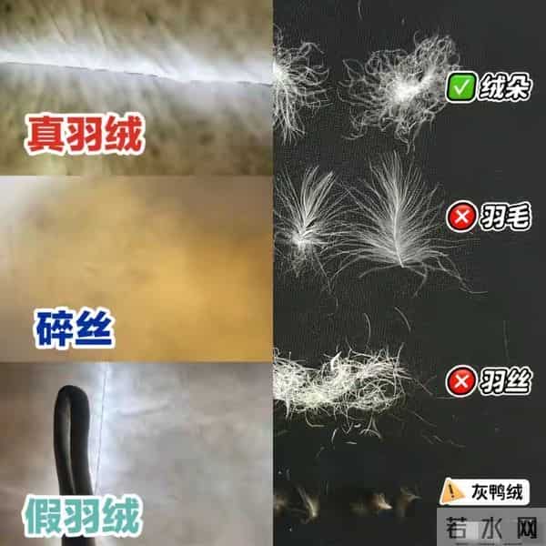 网购和实体店的羽绒服，差别大到你想不到！