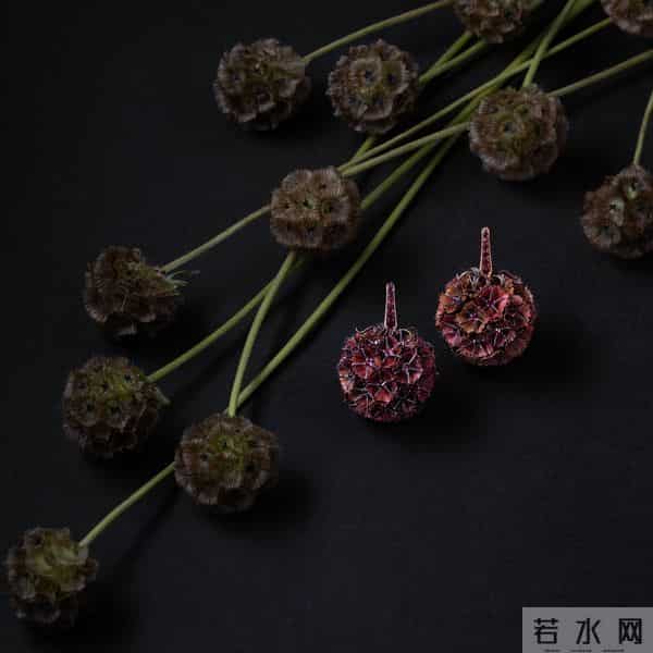 『珠宝』Hemmerle 推出 Scabiosa Stellata 铜制耳环：星芒松虫草