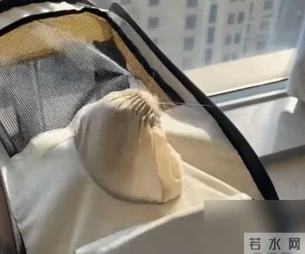 穿上之后痒成“峨眉山猴子”，今年秋冬爆款成最遭罪单品了