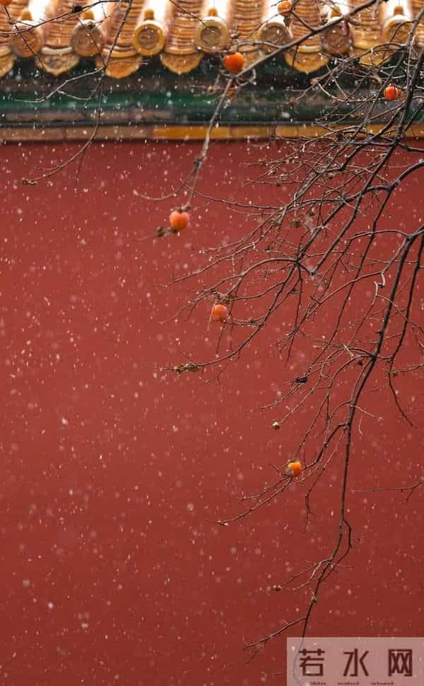 今年冬天最绝的配色：橙色+棕色，太明媚了！