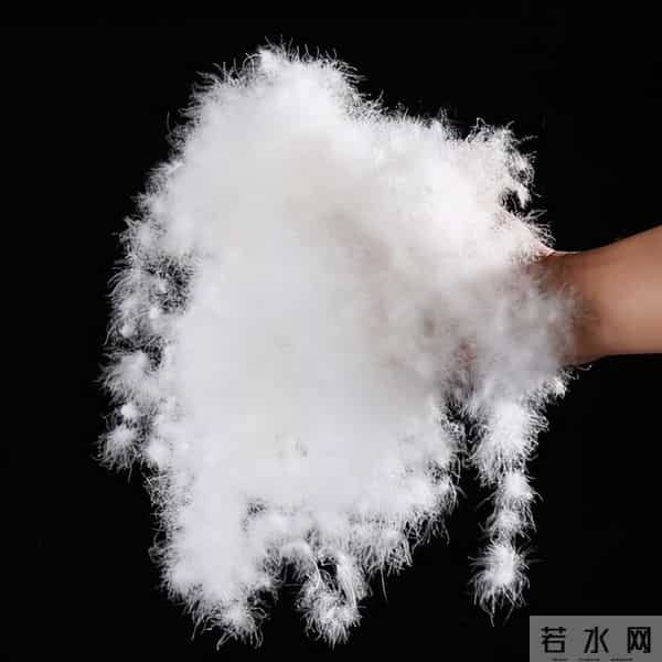 千元羽绒服成主流！从17万到58万，鸭绒涨价谁在买单？