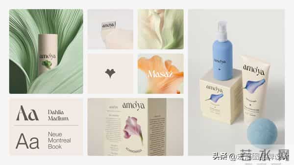 amoya与VITA的吸睛秘诀，让人惊艳的化妆品包装设计大学问