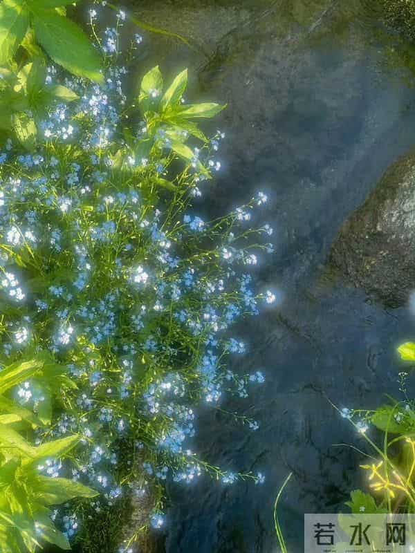 “不拧巴 能自洽 生活随心 才会更快乐”