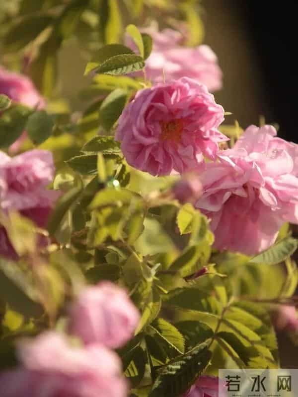真爱大牌 -- 这些被抢空的好物又回来了，这次破价100+