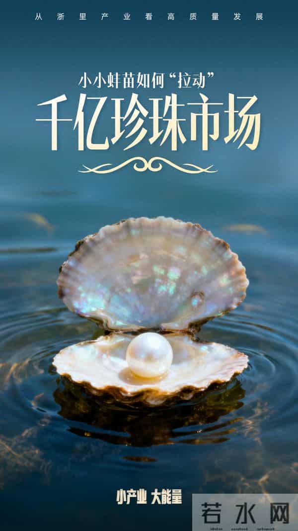 小小蚌苗如何“拉动”千亿珍珠市场