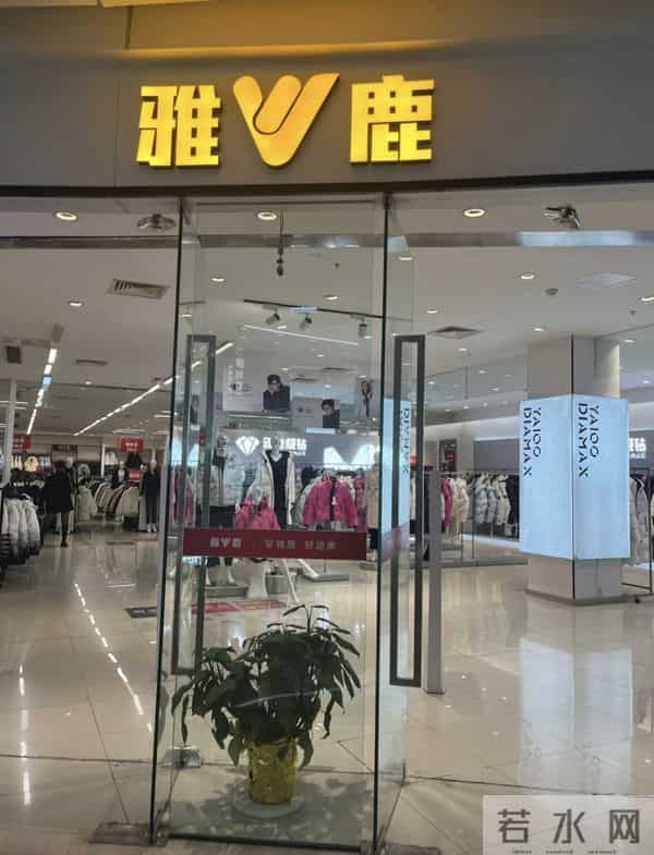 建议大家：买羽绒服别盯着波司登，这4个小众国货性价比封神