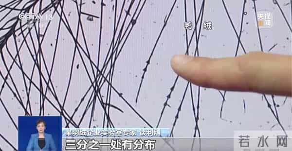 300元到底能不能买一件真羽绒服？