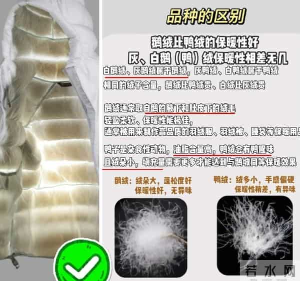 羽绒服越贵越好？醒醒吧！不看清这3个关键词，买大牌也是白扔钱