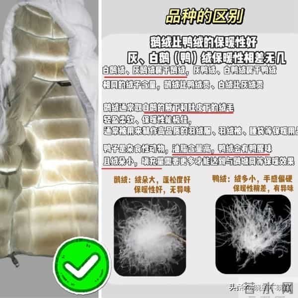 谁说“羽绒服”越贵越好？错！没有这3个关键词，还不如买便宜货