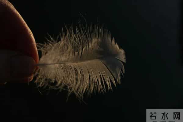 雷军站台、马斯克妈妈带货，高梵为何难成Moncler