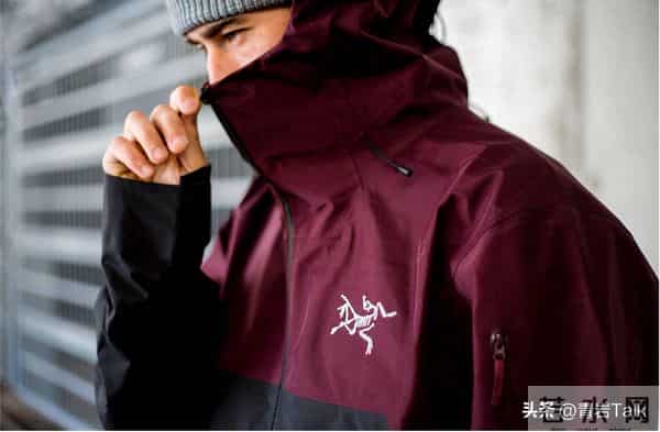 始祖鸟增速三连缓！靠亮色女款破圈，专业基因会稀释吗？