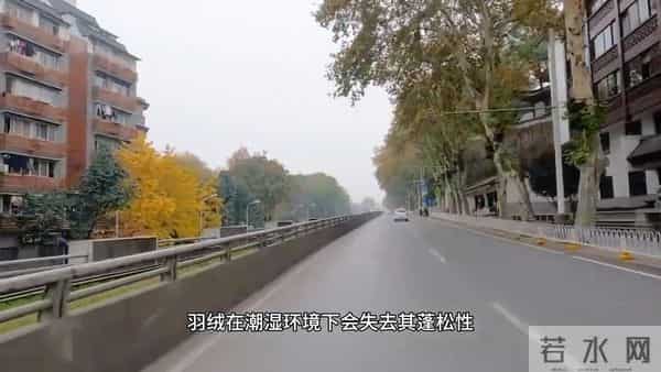 为什么降温了也不建议穿“羽绒服”，内行人说出实情，恍然大悟