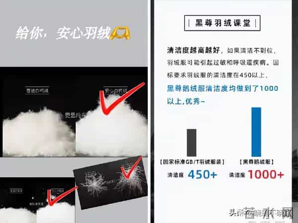 羽绒服越贵越好？醒醒吧！不看清这3个关键词，买大牌也是白扔钱