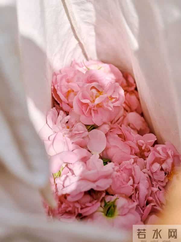 真爱大牌 -- 这些被抢空的好物又回来了，这次破价100+