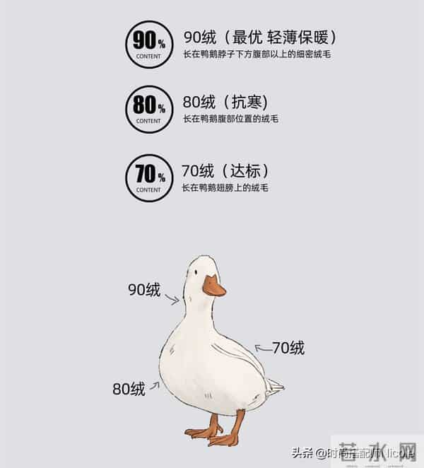 不建议买的3类网红羽绒服，卖的贵还窜风！这4个品牌内行都在买
