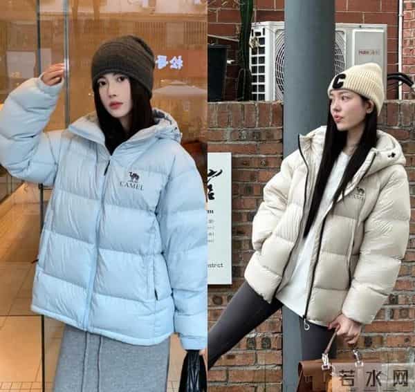 买“羽绒服”别盯着北面、加拿大鹅，换成另外3个品牌更具性价比
