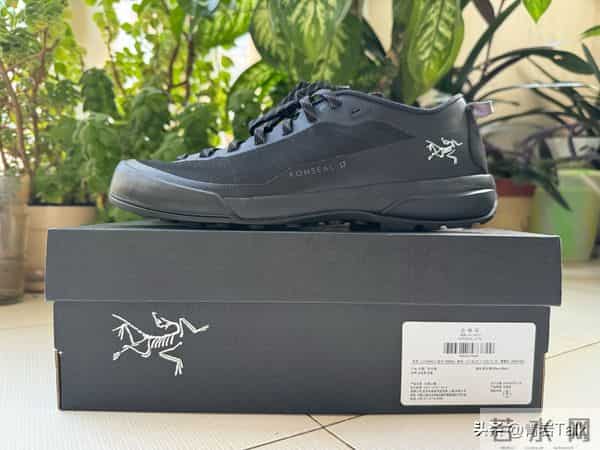 始祖鸟增速三连缓！靠亮色女款破圈，专业基因会稀释吗？