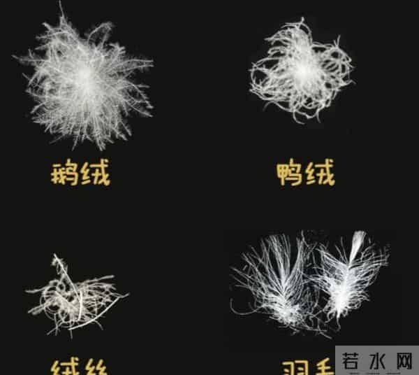 建议大家：买羽绒服时，上面没有“这几个字”，基本都是假货！