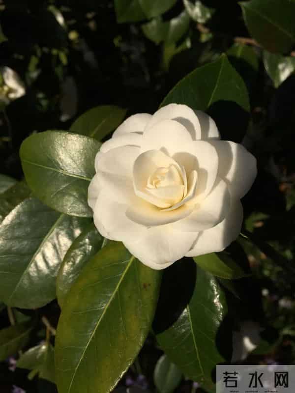 真爱大牌 -- 这些被抢空的好物又回来了，这次破价100+