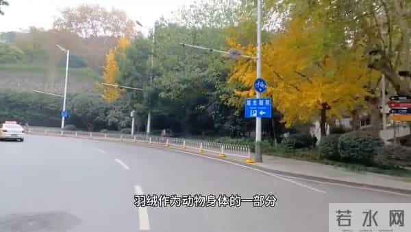 为什么降温了也不建议穿“羽绒服”，内行人说出实情，恍然大悟