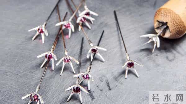 『珠宝』Hemmerle 推出 Scabiosa Stellata 铜制耳环：星芒松虫草