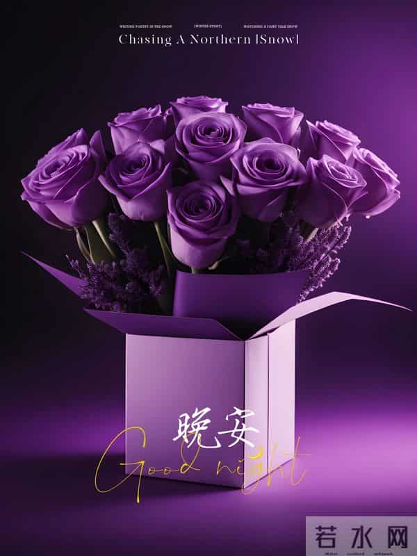 紫花伴夜,一句晚安