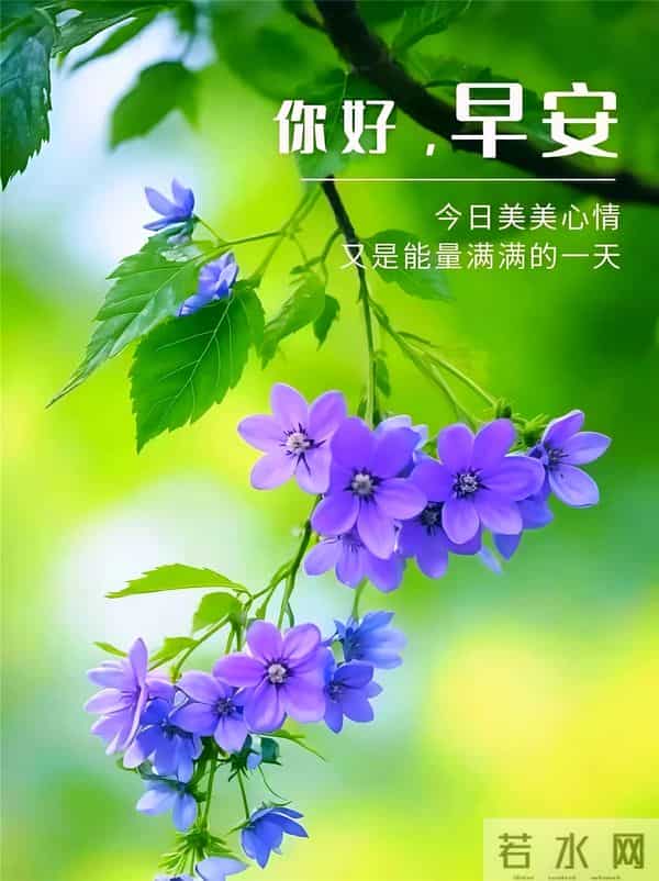 23句清晨暖心祝福，清风送暖、心意相传，愿你生活惬意、好运连连