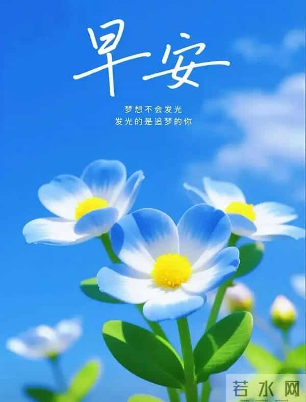 「2025.12.05」今日唯美早安祝福图片问候，温馨早上好祝福语