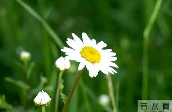 对家人不耐烦、态度差,对外人客客气气,暴露了一个人的性格缺陷