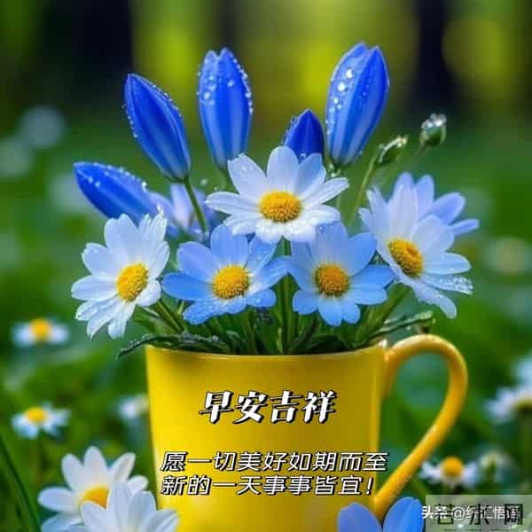 早安，愿你今天所遇皆善意，所求皆顺遂