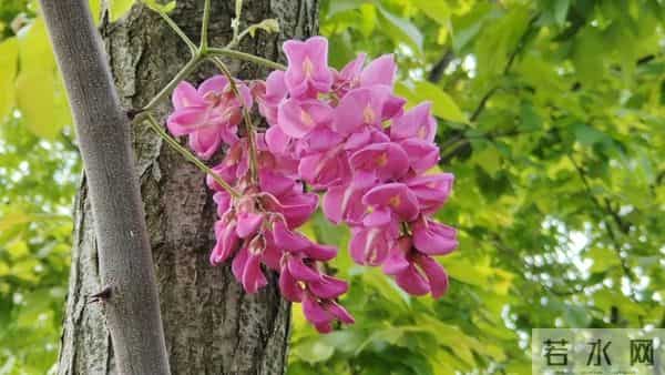 人品好的人,无论到什么年纪,都不会缺人爱