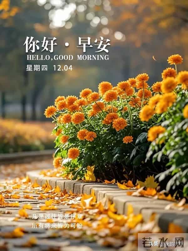 早安，凡是过往皆是序章，所有将来皆为可盼。