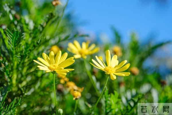 男女之间有3种感觉，就是相互喜欢的灵魂伴侣