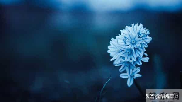 子鼠要“笑醒”了,12月5日周五,你将会遇见你最大的2位贵人