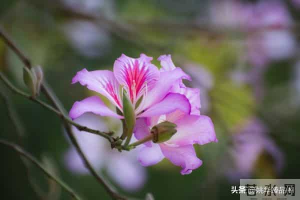 从因果定律告诉你,不要去可怜任何人,因为他们不值得