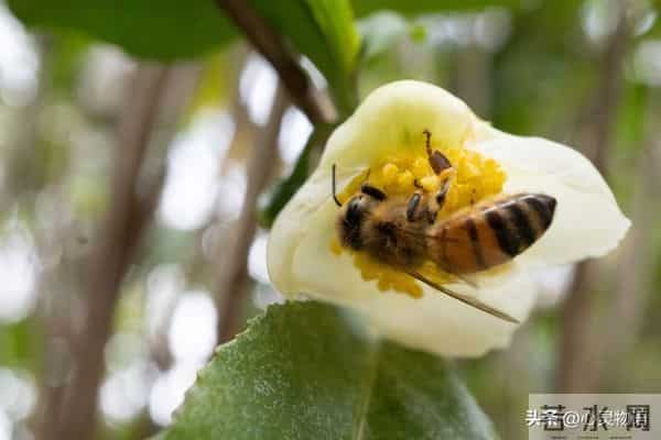 女人爱不爱你，根本不用试探！看这2点，准确率99%