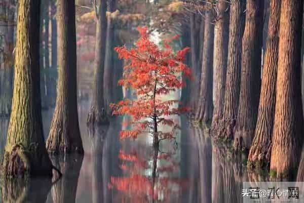 两性关系男女之间:除表面的热情,最让女人上瘾的原来是这三