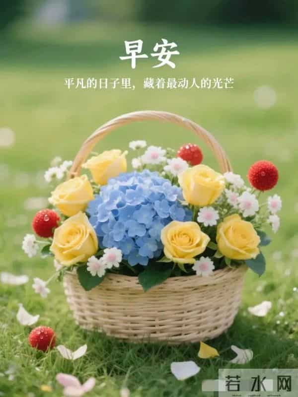 今日最新版超级好看,早上好精选图片,祝福早安吉祥!