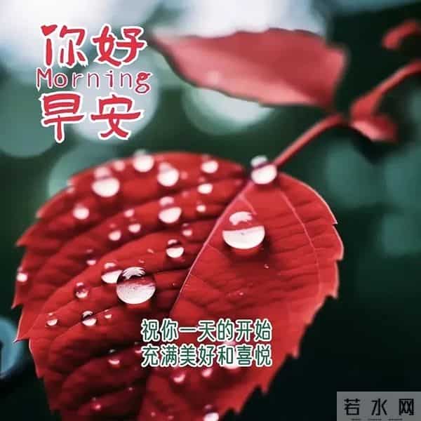 今日最新版超级好看,早上好精选图片,祝福早安吉祥!