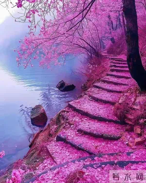 岁月，像一条弯弯的长河，我们便是这河中的渡客，应学会求索