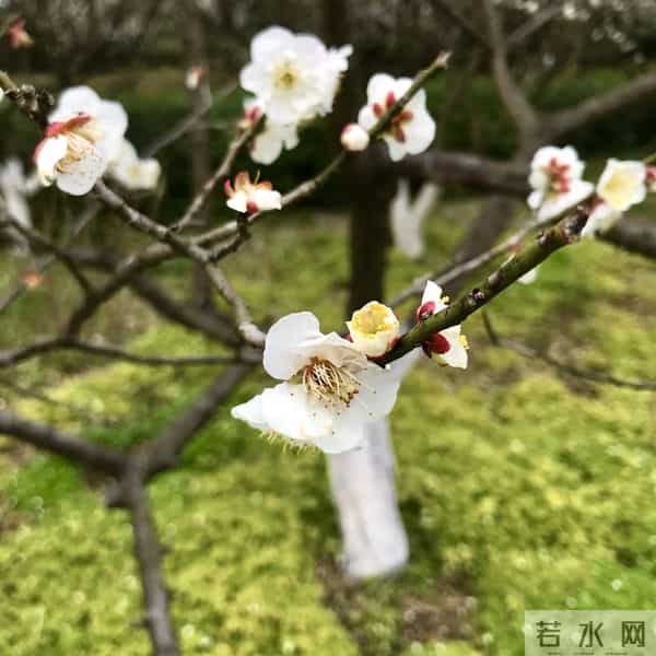 双鱼座2026大爆发,迎来人生大转折点!