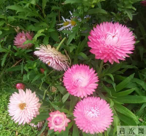 不要辜负我的一片真心